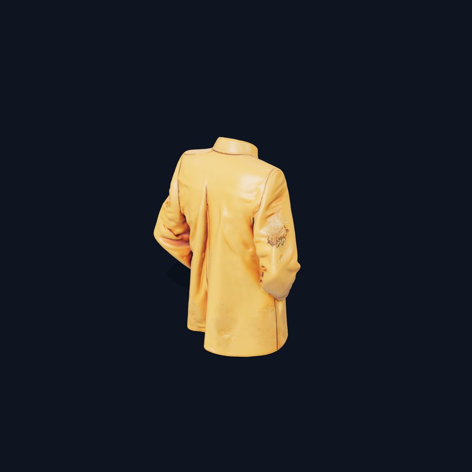 Golden Embroidered Jacket model pack